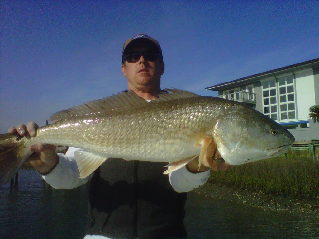 redfish fishing charters