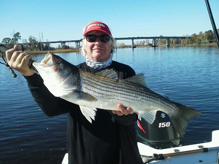 NC striped bass fishing charter