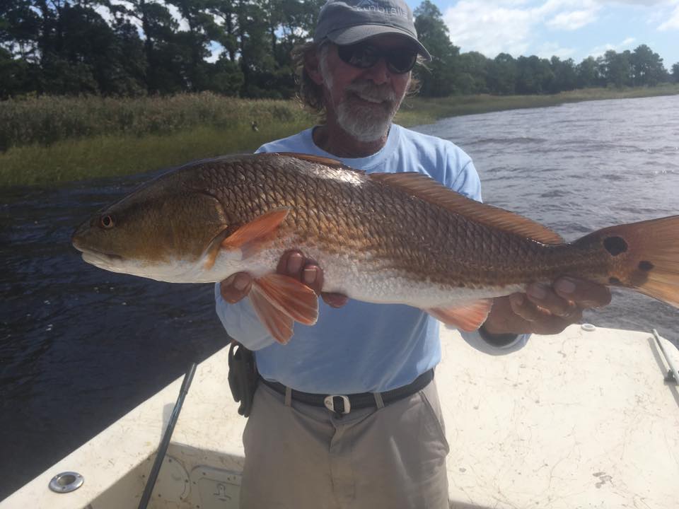 October redfish in Wilmington